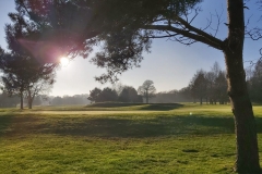 Anonymous - 16th Green