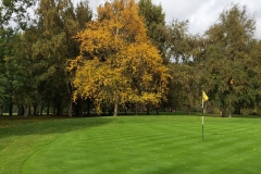 Anonymous - 15th Green