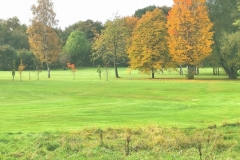 Mark Harris 1st Fairway From 10th tee